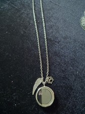 Pet Urn Pendant Dog Cat Cremation Ashes Necklace Keepsake Memorial Jewellery