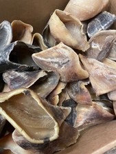 20 x Best British Cows Empty Hooves - Wholesale Huge Margin!! RRP �20