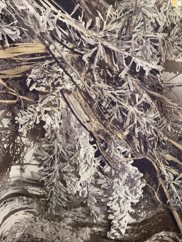 Realtree Herren MAX-1 XT Langarm Camouflage Tee Hirsch Jagd Outdoor Gr. S / 34 / 36 - Bild 6 von 7