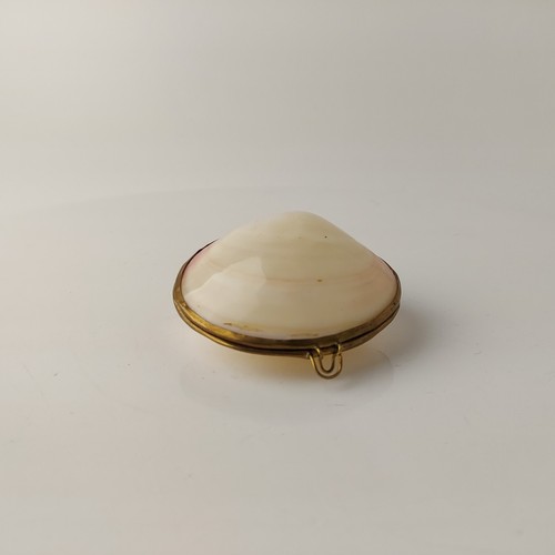 Vintage Shell Pink Clam Trinket or Pill Box Coin Purse Brass Hinged #5661