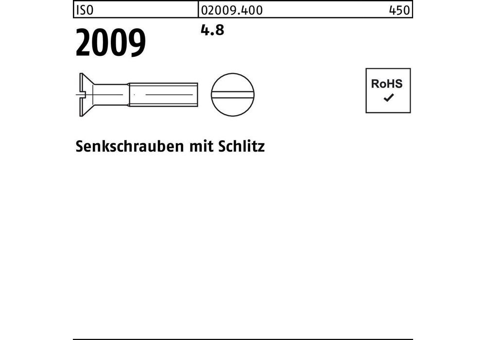 Рейхер Сенкшраубе ISO 2009 m.Schlitz M 2 x 4 4,8