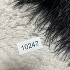 Foto 14 di 14