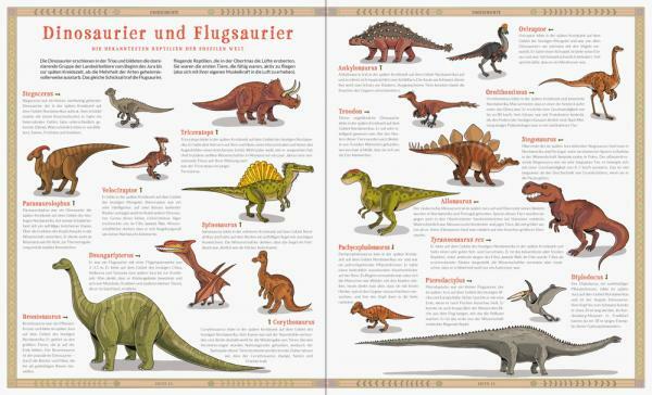 Thumbnail - Ravensburger Kindersachbuch Ausgestorben Das Buch Der Verschwundenen