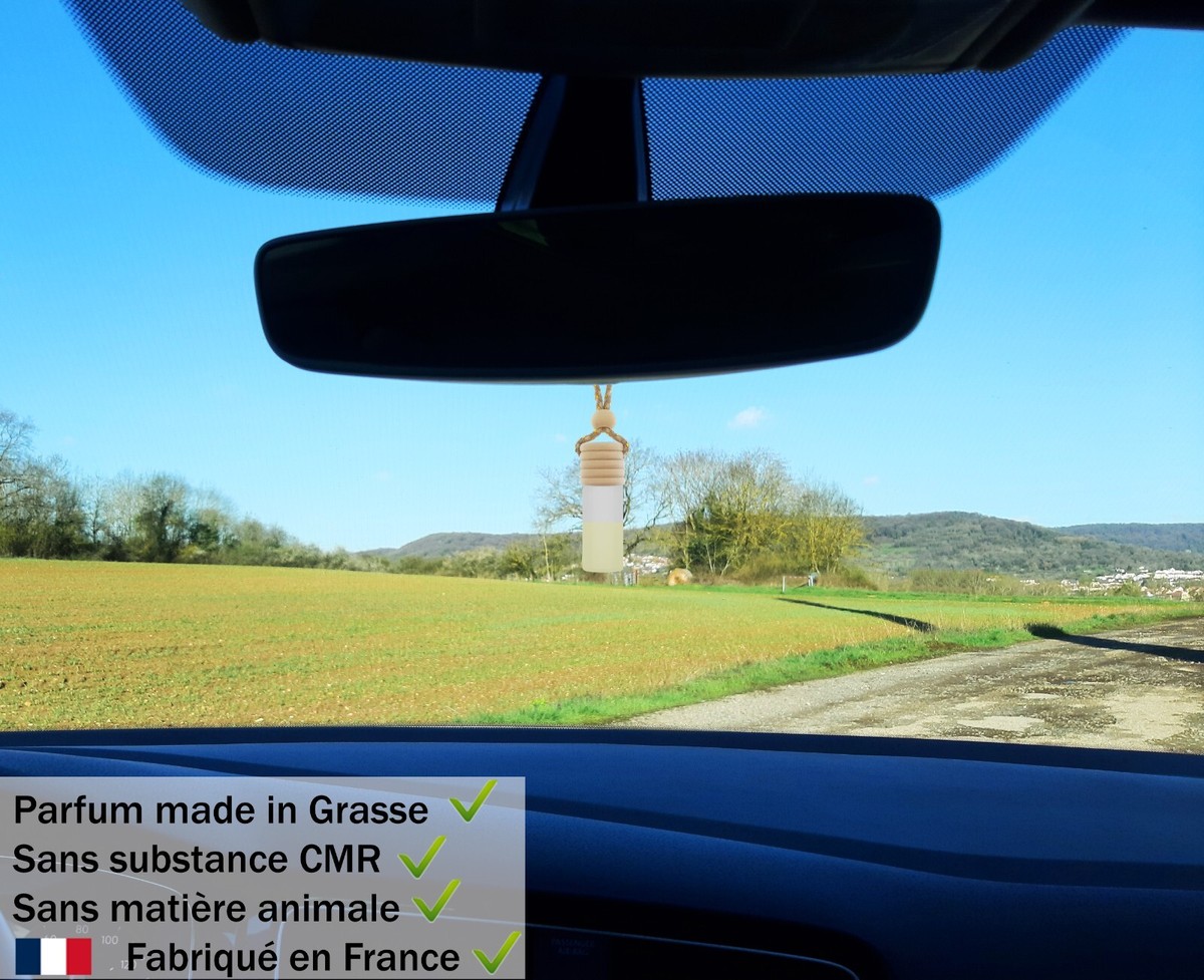 Parfum D'ambiance Voiture Aloe Vera - Diffuseur Jusqu'à 6 Semaines - Sans Alcool - Fabriqué En France - Flacon 4 Ml