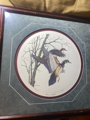 T Pennington ''Wood Flight''  Lithograph 301/350 - Signed And Framed
