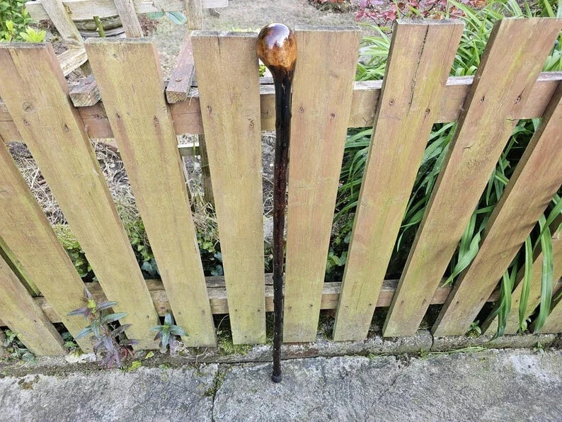 Bastón bastón irlandés Blackthorn. Bastón de mango cómodo regalo a tu papá. Foto 2 de 4