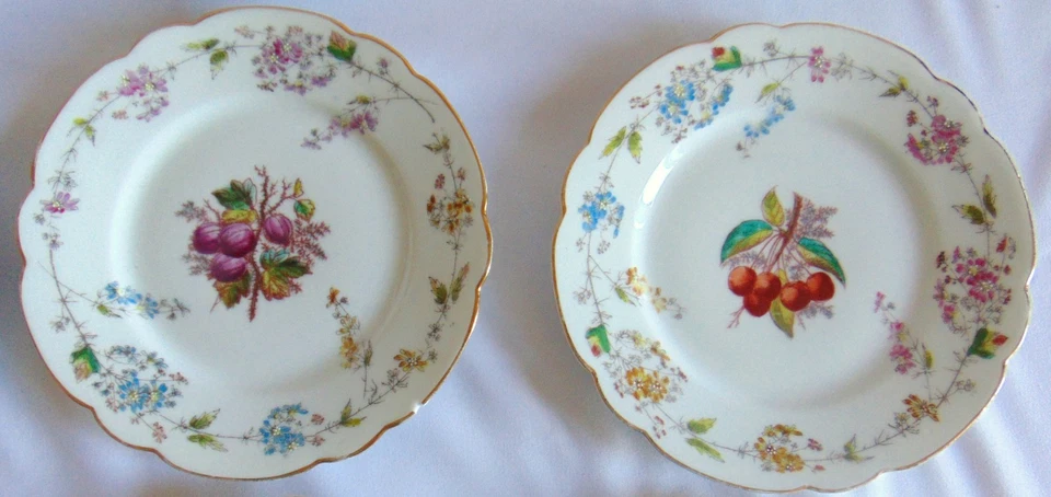 ANCIENNES 12 ASSIETTES A DESSERT PORCELAINE DE PARIS DECOR FLEURS ET FRUITS - Photo 3/4