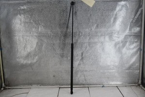 VW GOLF V (1K1) 2.0 GTI 017510 Gasfeder, Motorhaube