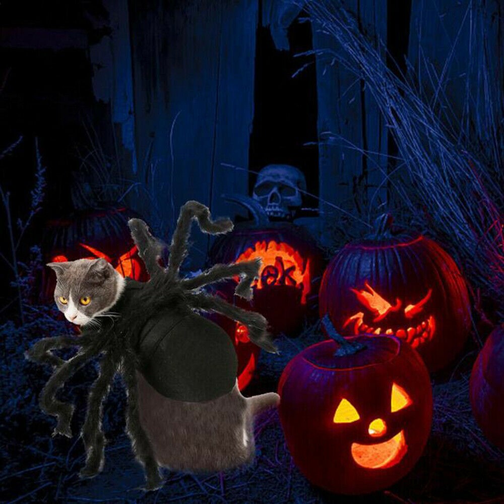 Pet Spider Costume Halloween Pet Spider Clothes Dog Cat Horror Simulation Plush