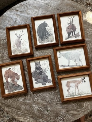 LOT 7 VINTAGE Rocky Mountain Wildlife Ecology Framed Current Cards by C. Dorman
