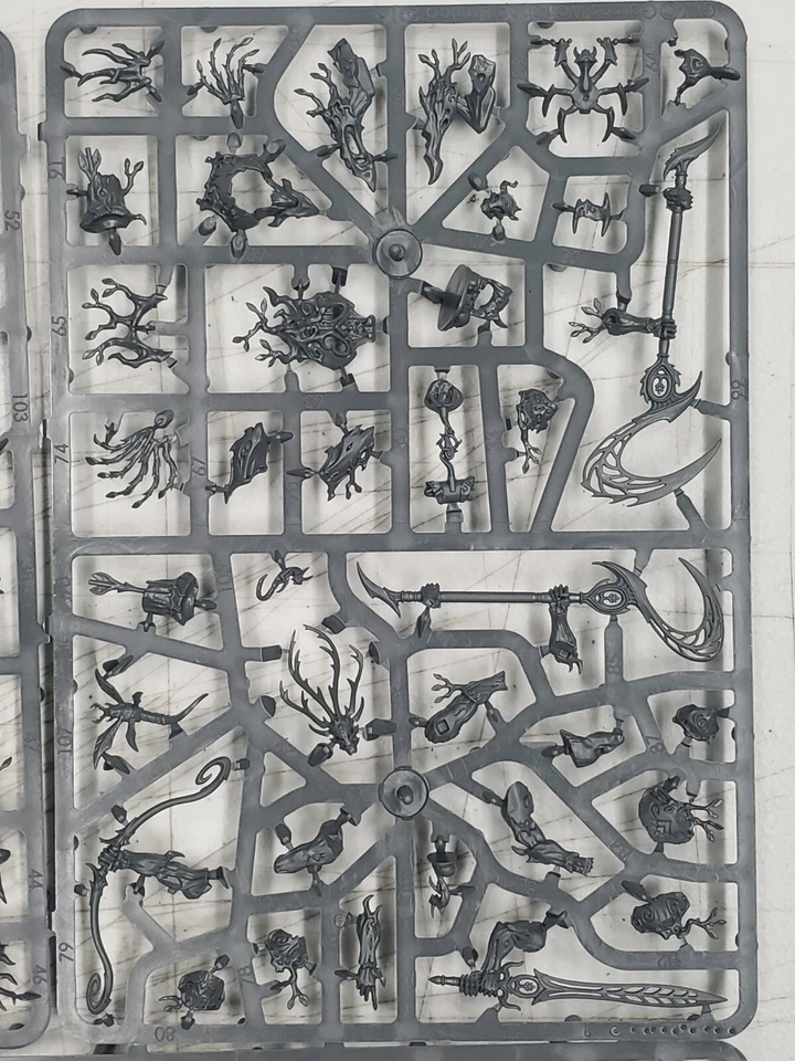 Kurnoth Hunters, Sylvaneth, AOS, GW Foto 2 de 4