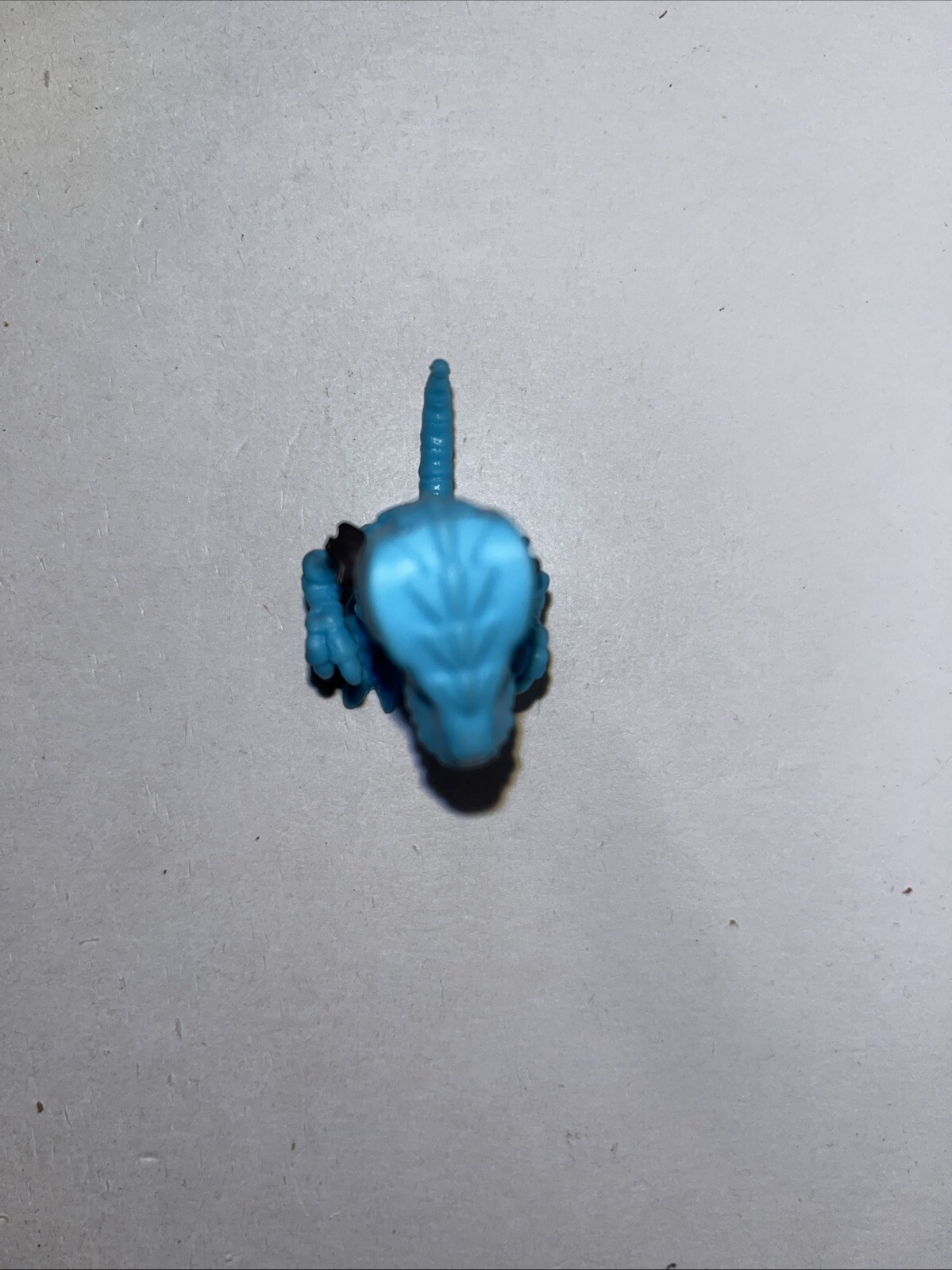 Picture 5 of 5
