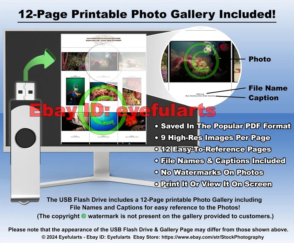 Underwater Life Corel Royalty-Free Stock Photo CD-ROM Disk & USB - Image 4 of 4