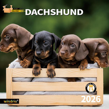 2026 Wall Calendar,Calendar 2026, November 2025 - December 2026, Wall Calendar