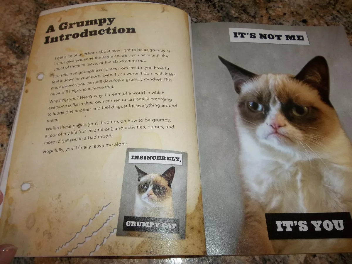 Meet Louis 'the new Grumpy Cat' who has his own natural resting