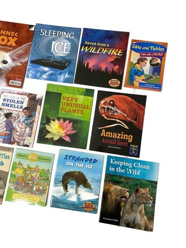 FOUNTAS & PINNELL Grade 2 Level N Guided Reading Books Leveled Readers - Imagen 2 de 15