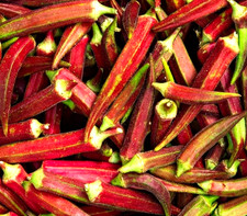 Red Burgundy Okra Seed 30 SEEDS NON-GMO BUY 4 ITEMS GET FREE SHIPPING