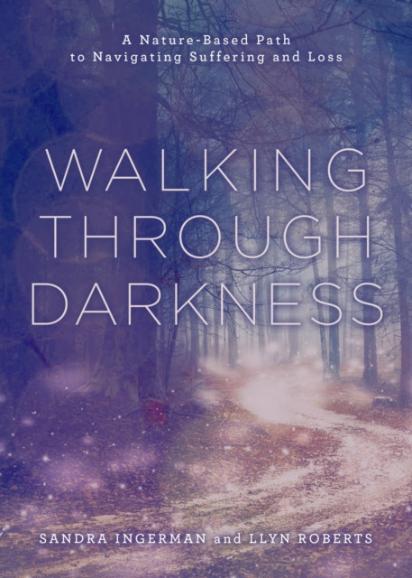 Walking through Darkness by Llyn Roberts (Paperback Book)