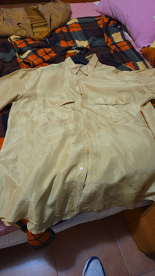 Silk Shirt