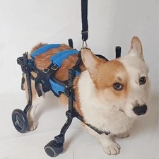 New 4 wheel dog wheelchair Adjustable Dog Cart Wheelchair Light Weight XS S M