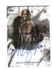 2018 Topps WWE Undisputed Wrestling Cards 18