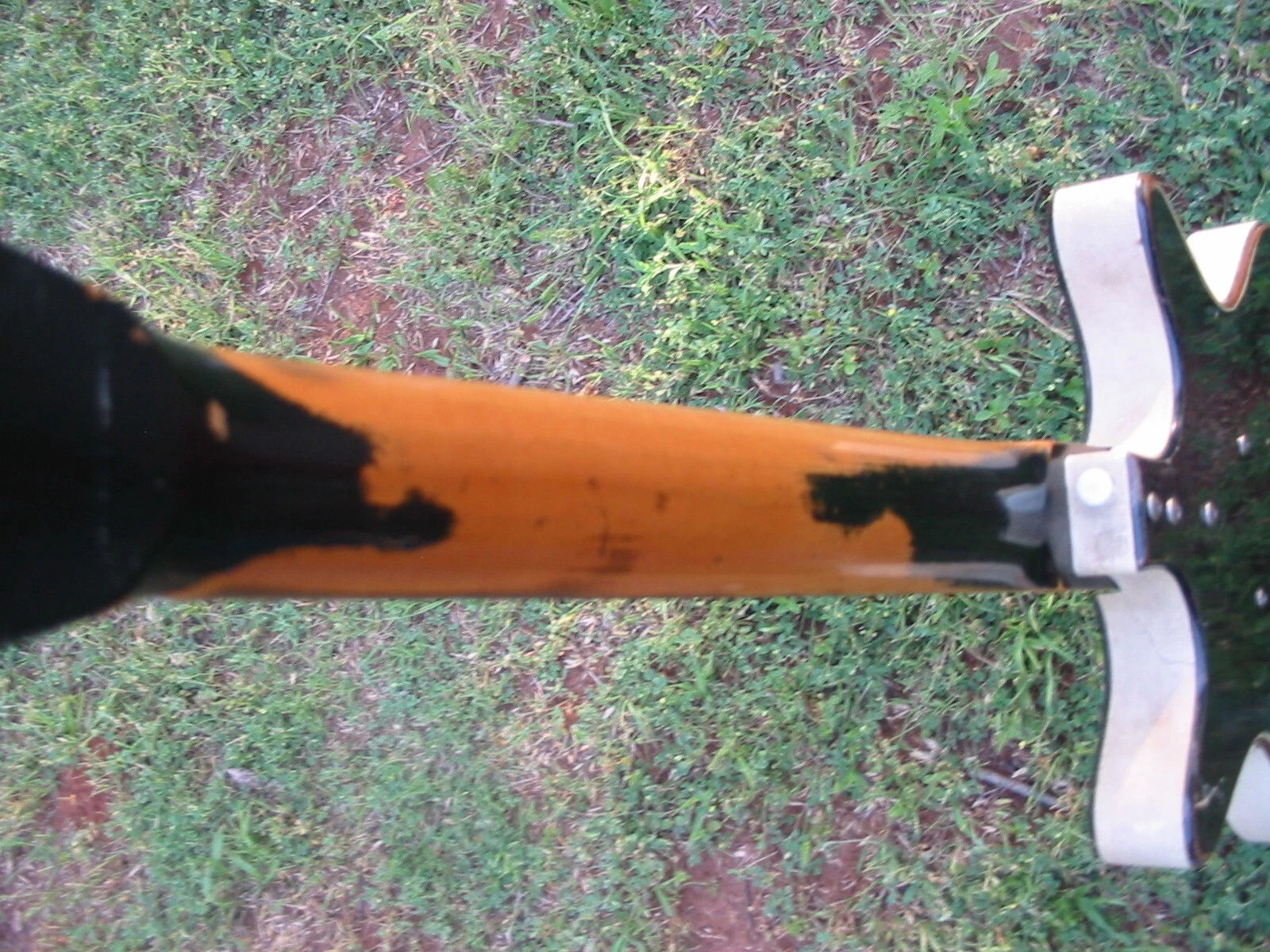 Picture 12 of 12