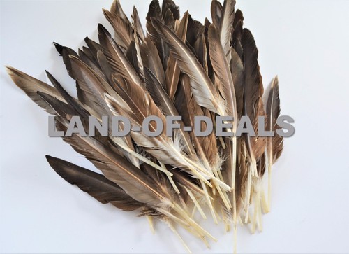 40+ Duck pointer feathers Natural brown loose real feathers for crafts 0.5/1 oz - Picture 2 of 8