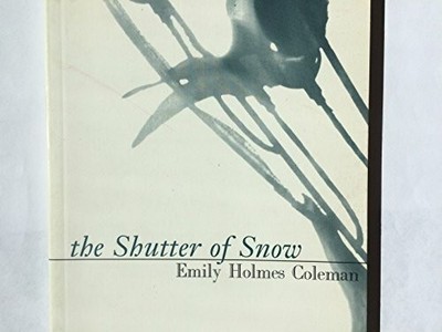 Shutter of Snow (American Literature) Buch Dalkey Archive Press