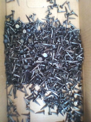 100 x Feinschliff schwarz glänzend 13mm Teppich & Polsterhefte Nägel