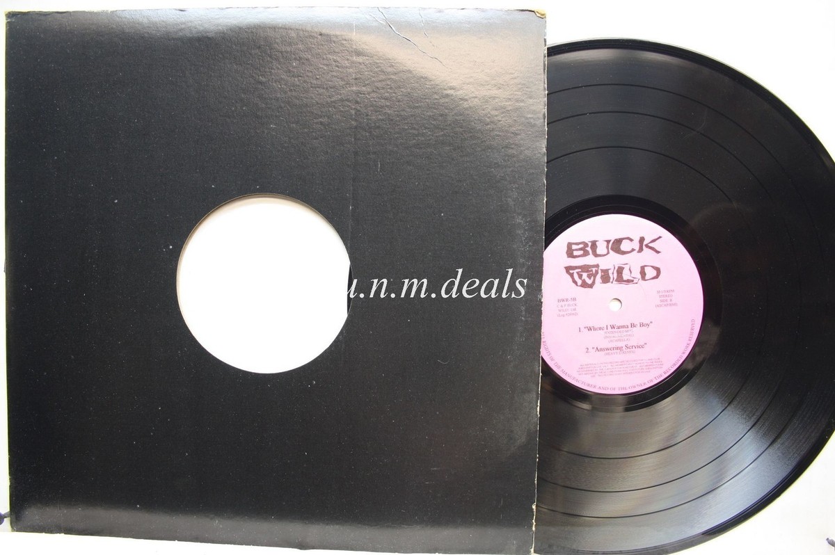 洋楽 BUCK WILD records 洋楽 BUCK WILD records Buck Wild – Vinyl (12