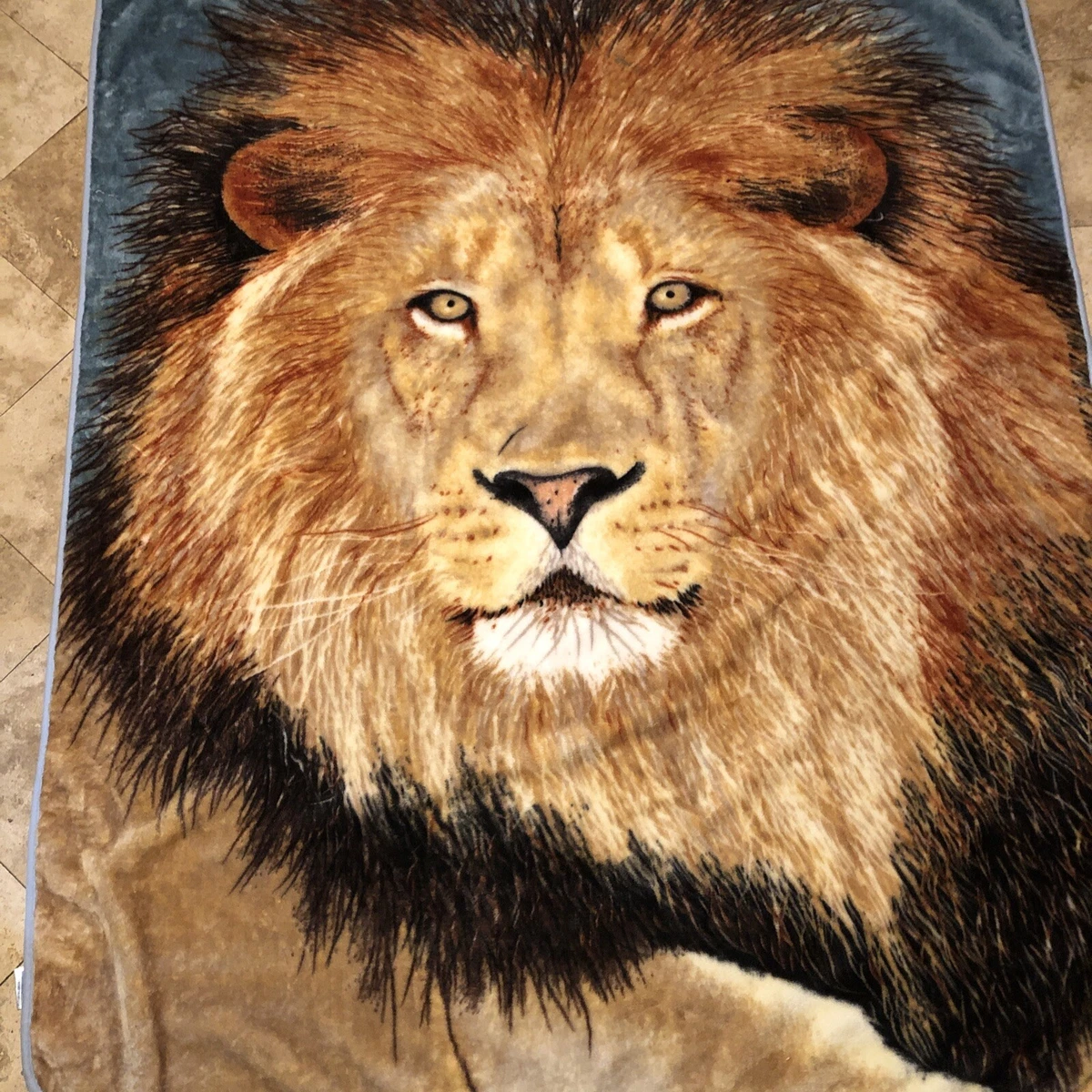 Lion Blanket 76 x 5 Awesome Blanket. Throw Cover Awesome Piece