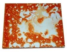 The Bear Modern Contemporary Abstract Painting Celestial Oceanic Street Art