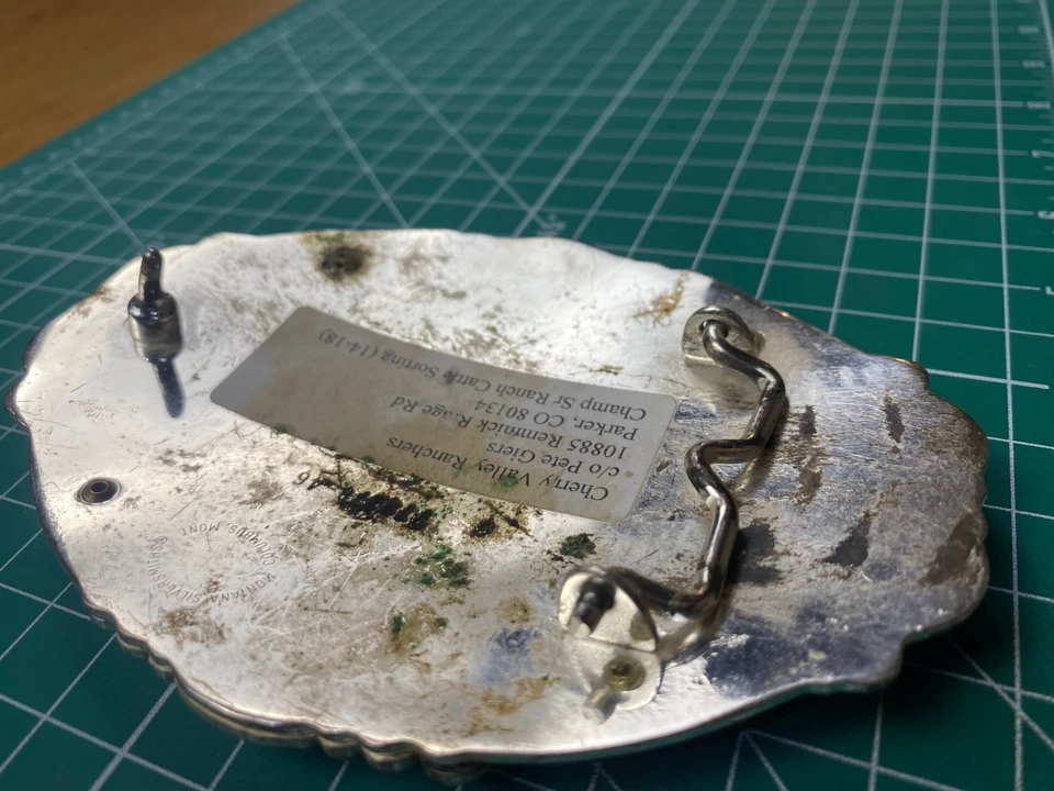 Пряжка для ремня чемпиона DC Fair Champion Ranch сортировка крупного рогатого скота (14-18) - Изображение 4 из 4