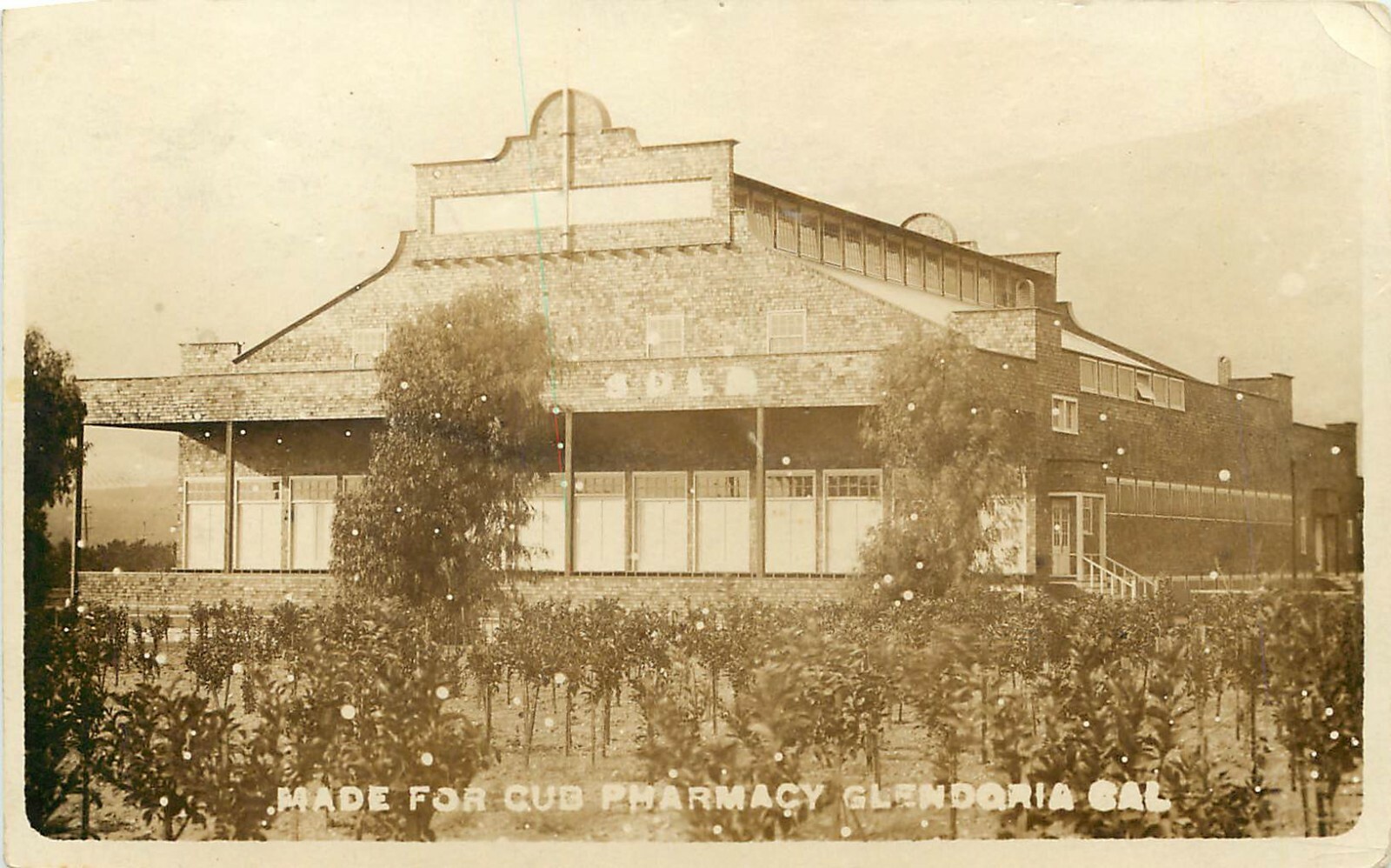 RPPC Postcard Orange Packing House Glendora CA Citrus Fruit Packing Cub