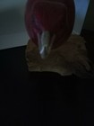Bild 8 von 8