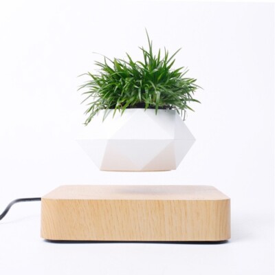   Levitating Rotation Flowerpot - Magnetic Magic for Zen Spaces  