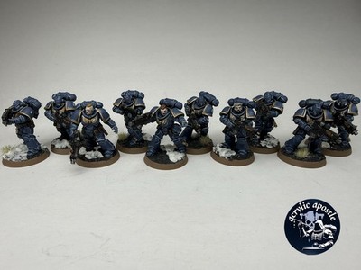 Warhammer 40K Space Marines Primaris 10 Intercessors space wolves Painted 