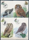 XE60220 Belgium 2002 -2009 owls animals birds maxicards used