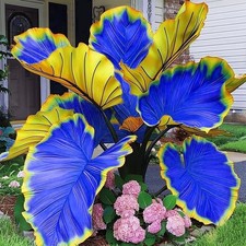 Mix Hosta Seeds-215Pcs Perennial Flower Seeds for Planting in Your Home Ganden