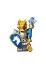 LEGO 71047 Dungeons and Dragons Minifigure - Dragonborn Paladin