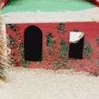 Picture 13 of 16