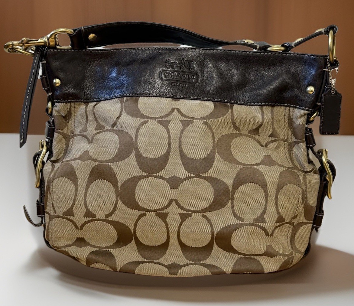 COACH ZOE Y2K HOBO VINTAGE Shoulder Bag. | eBay
