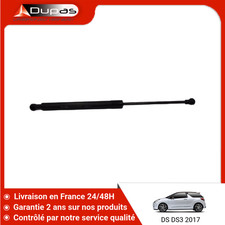 Verin de hayon / de capot Citroen GS