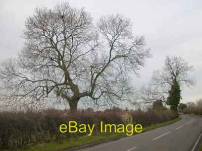 Photo 6x4 Clifton On Dunsmore Clifton upon Dunsmore Bare trees on Hillmor c2008