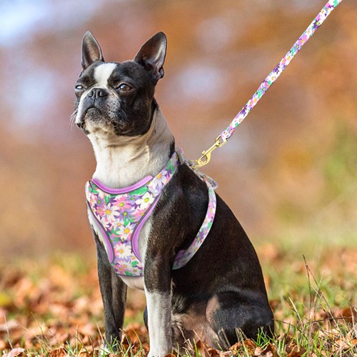 3pcs Reflective Dog Harness & Personalised ID Collar & Pet Walking Leash Set S-L - Picture 17 of 30