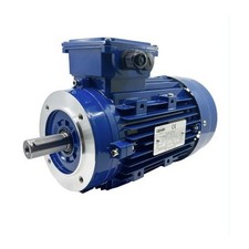 MOTEUR TRIPHASE ELECTRIQUE IE1 MS100L1 - 3KW 3000T 220/380 B14