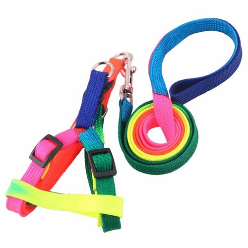 1.8/9/15/30M Dog Lead Leash Long Nylon Pet Puppy Training Obedience Recall Track - Picture 17 of 17
