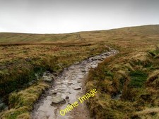 Photo 12x8 Path ascending towards Ingleborough Selside/SD7875 Heavily use c2014