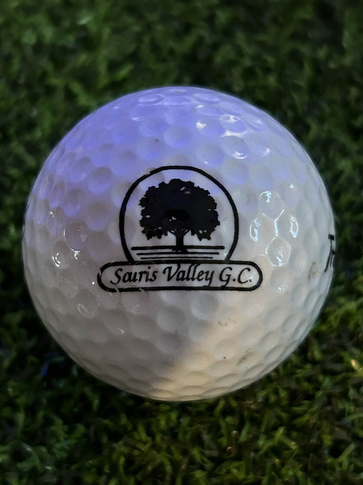Souris Valley Golf Course Logo Golf Ball Minot North Dakota ND eBay