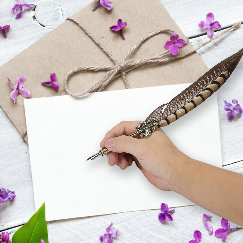 1.0mm Vintage Style Beautiful Feather Pen Set Calligraphy Pen eBay